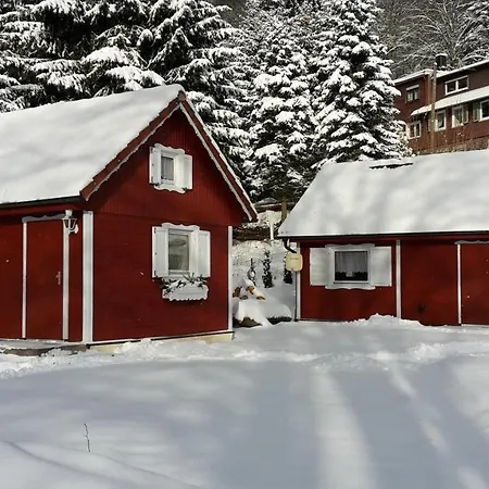 Am Zainhammer * Brotterode