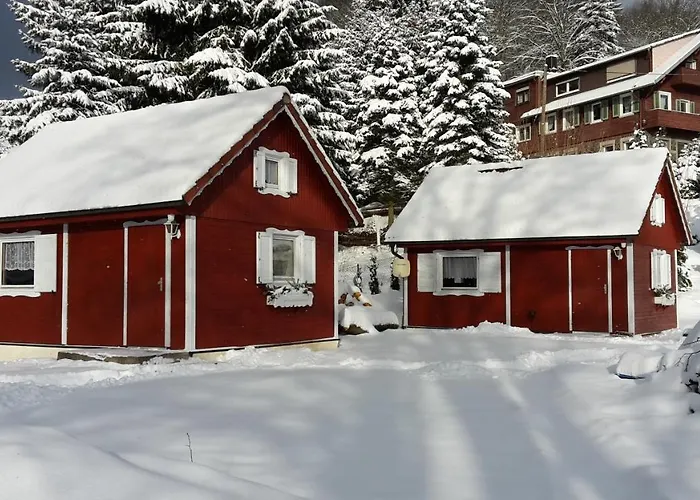 Am Zainhammer * Brotterode